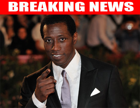 BREAKING NEWS: ACTOR WESLEY SNIPES ORDERED TO PRISON BY US DISTRICT JUDGE